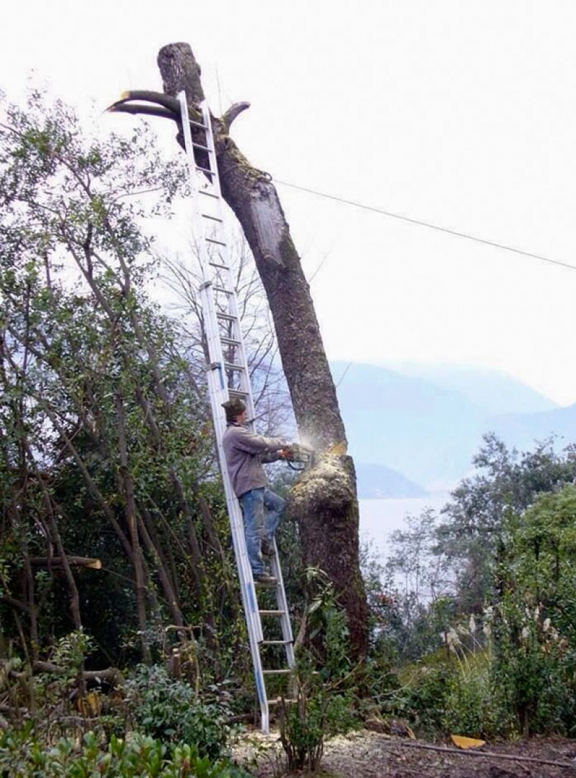 Los hombres de verdad nunca miedo Los hombres de verdad nunca miedo