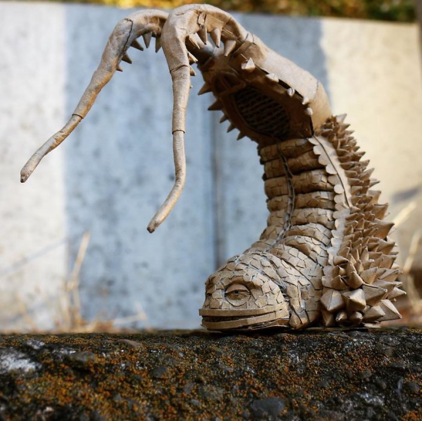 Los Japoneses nunca se tira a la basura las cajas de cartón: ella encuentra un uso para ellos mejor Los Japoneses nunca se tira a la basura las cajas de cartón: ella encuentra un uso para ellos mejor