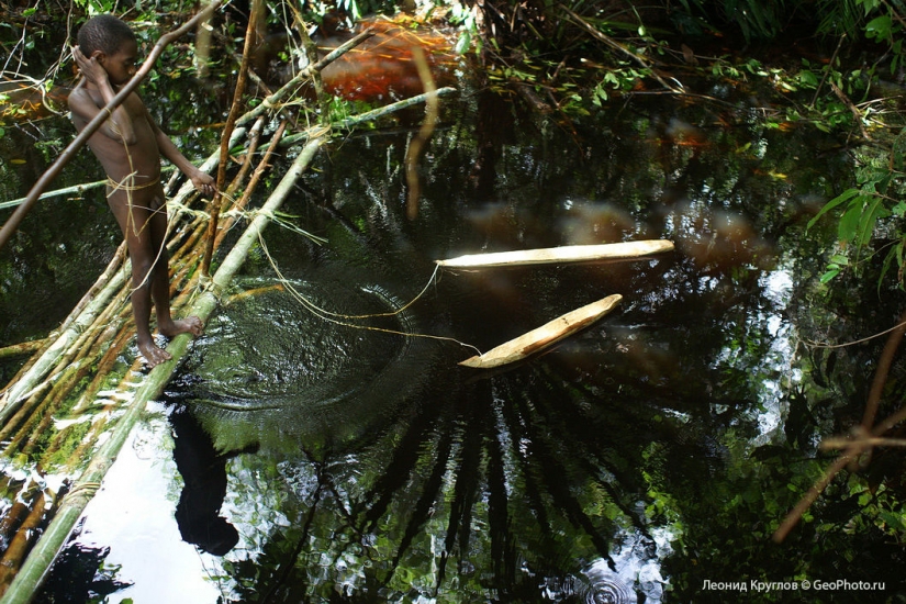 Los korowai personas: las personas que viven en los árboles Los korowai personas: las personas que viven en los árboles