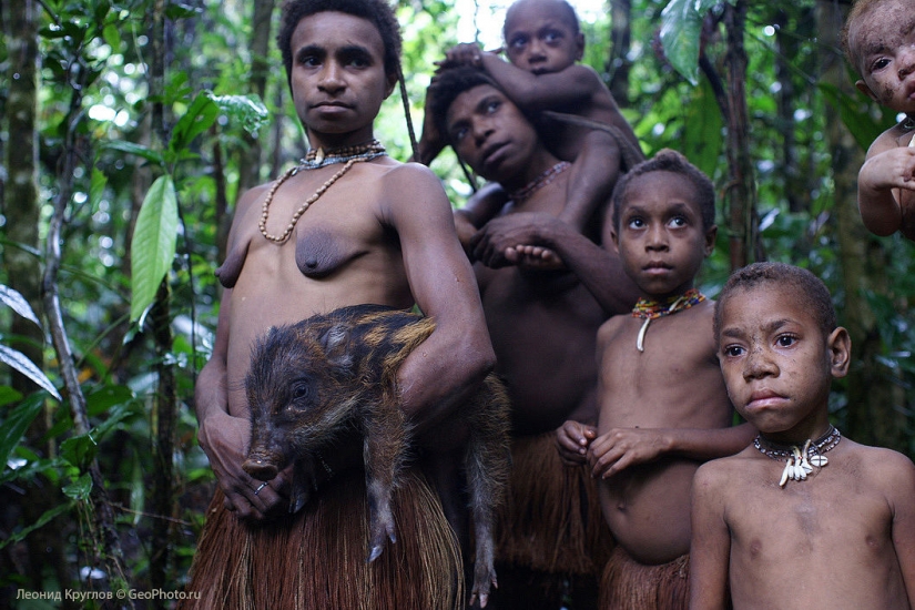 Los korowai personas: las personas que viven en los árboles Los korowai personas: las personas que viven en los árboles