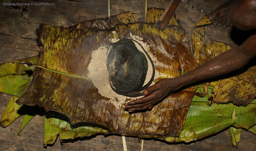 Los korowai personas: las personas que viven en los árboles Los korowai personas: las personas que viven en los árboles