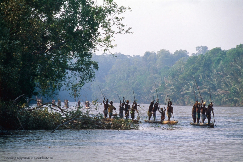 Los korowai personas: las personas que viven en los árboles Los korowai personas: las personas que viven en los árboles