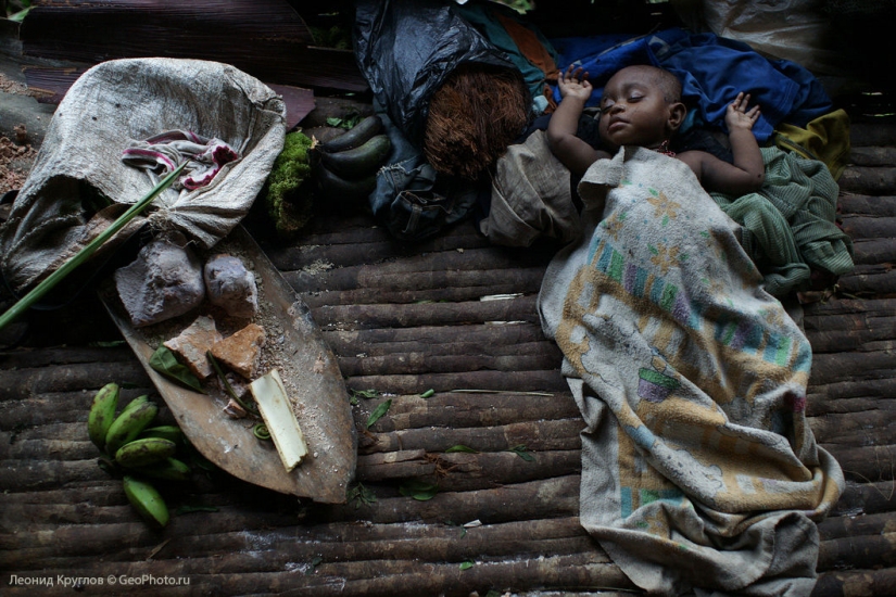 Los korowai personas: las personas que viven en los árboles Los korowai personas: las personas que viven en los árboles