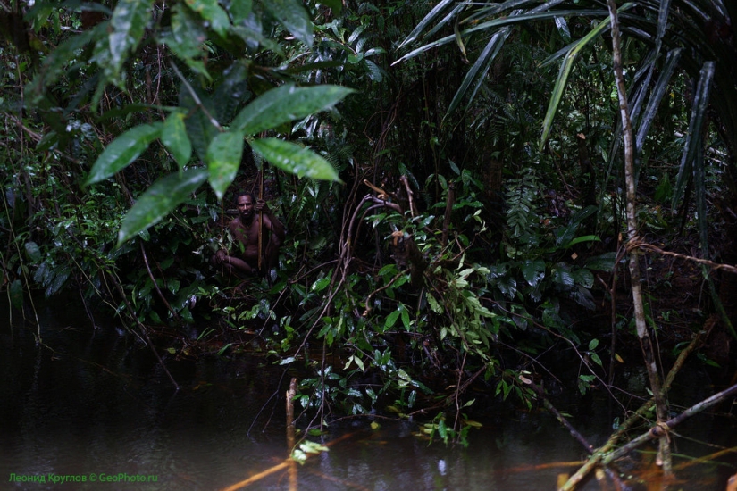 Los korowai personas: las personas que viven en los árboles Los korowai personas: las personas que viven en los árboles