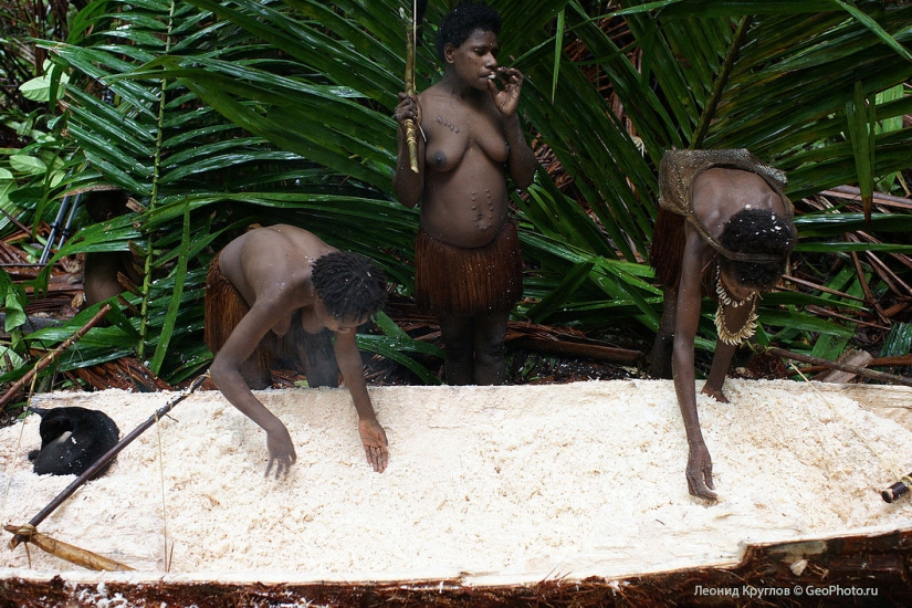 Los korowai personas: las personas que viven en los árboles Los korowai personas: las personas que viven en los árboles