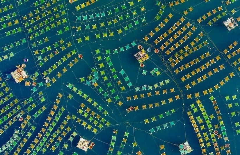 Los milagros del cielo: las 12 mejores fotos del concurso de drone fotos