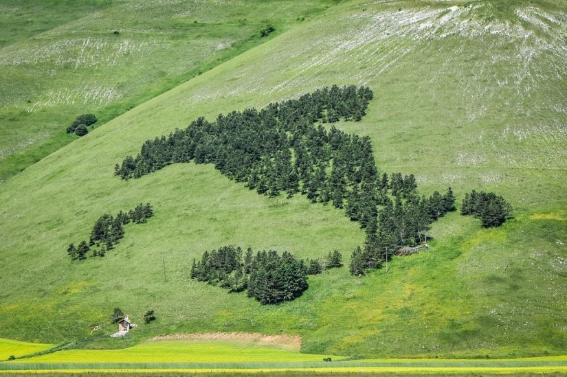 Los monumentos, los cuales producen oxígeno