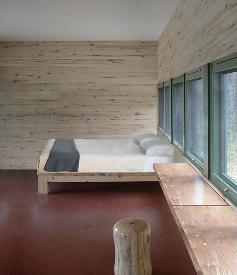 Los más pequeños de la casa en el mundo mucho más grande de lo que parece