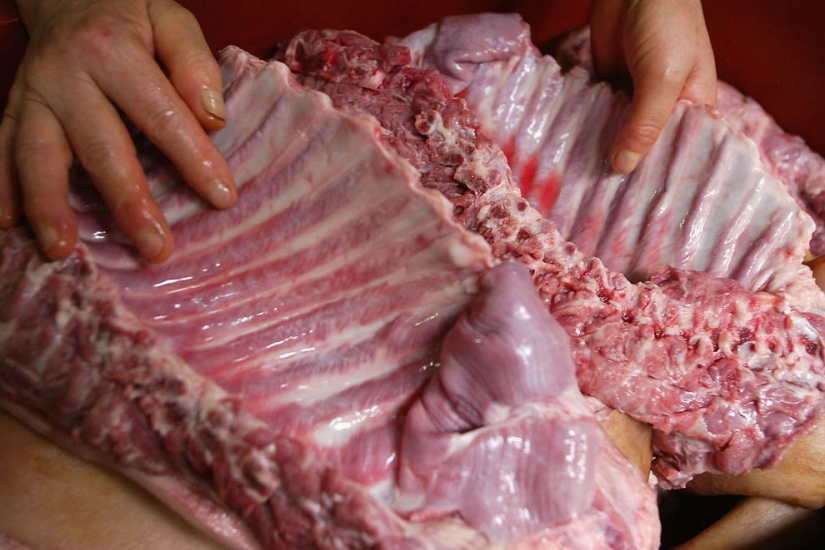 Los perros en la cocina coreana Los perros en la cocina coreana