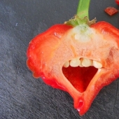 Los productos que va a llevar a un alto de su tipo