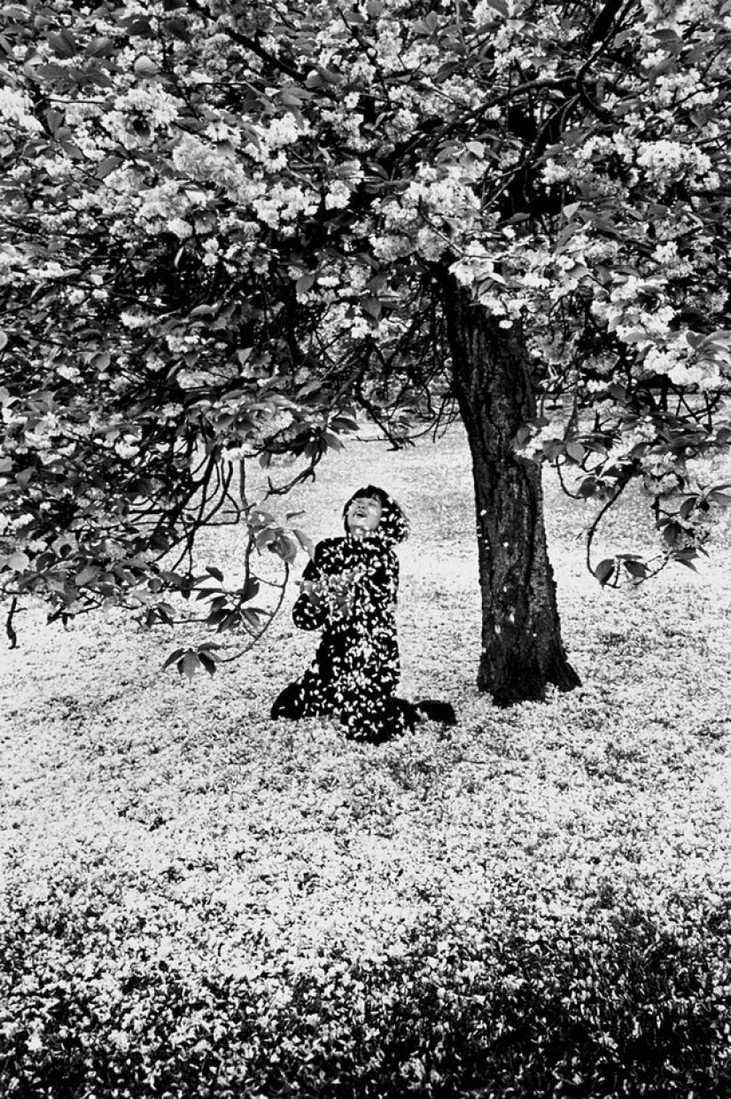 Los secretos de los grandes maestros de la fotografía: la poesía de marcos de Edward Buba