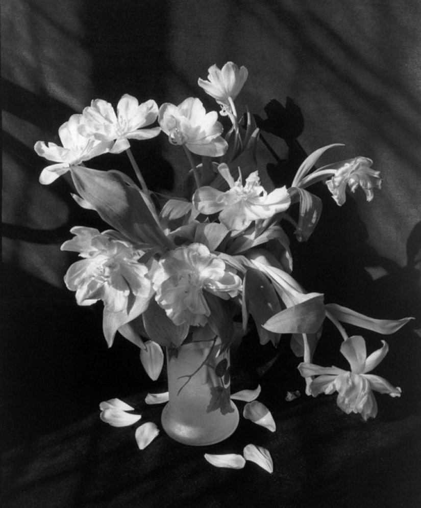 Los secretos de los grandes maestros de la fotografía: la poesía de marcos de Edward Buba