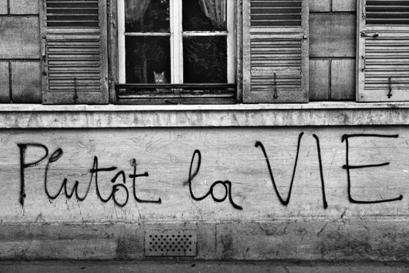 Los secretos de los grandes maestros de la fotografía: la poesía de marcos de Edward Buba