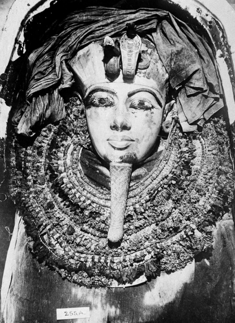 Los secretos del Faraón Los secretos del Faraón