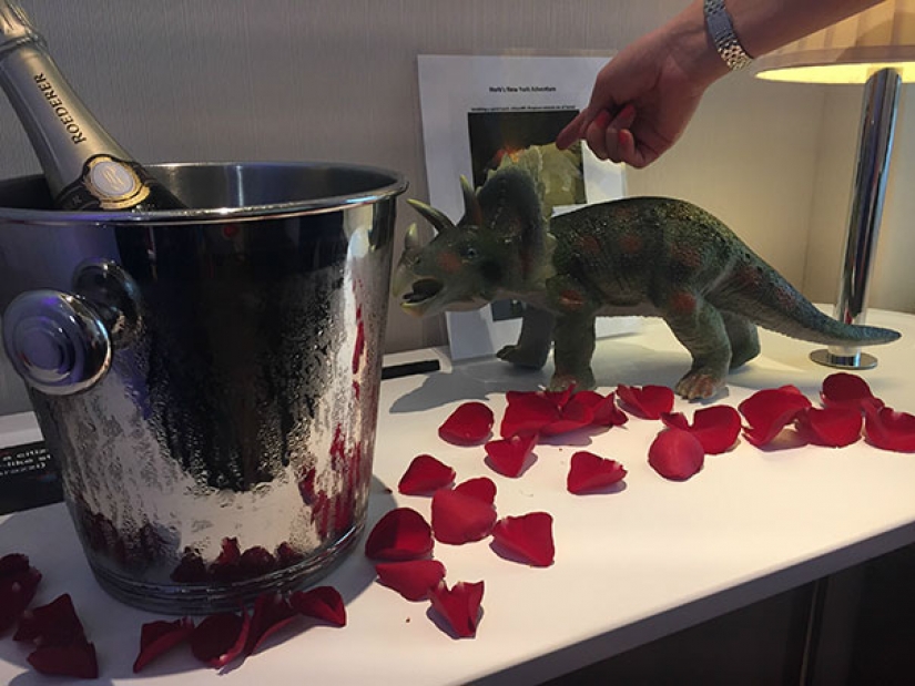 Los turistas trolls fueron enviados a los hoteles de las extrañas peticiones... y lo hicieron!