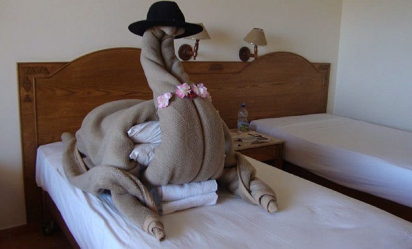Los turistas trolls fueron enviados a los hoteles de las extrañas peticiones... y lo hicieron!