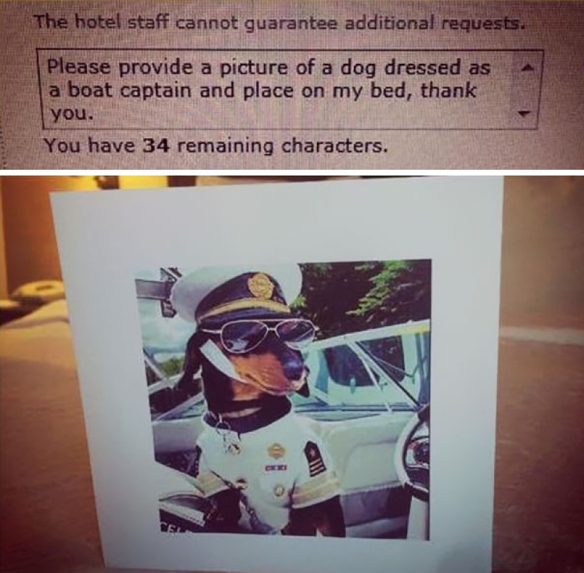 Los turistas trolls fueron enviados a los hoteles de las extrañas peticiones... y lo hicieron!