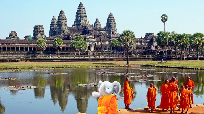 Lost Teddy elephant travels the world