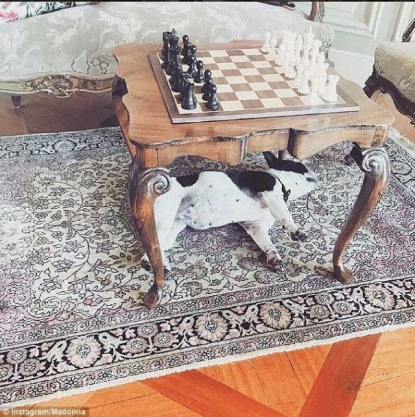 Magnífica casa de la Virgen Magnífica casa de la Virgen