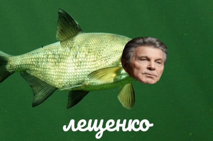 Marmeladze and Karawatha: Twitter Russian stars turn into food Marmeladze and Karawatha: Twitter Russian stars turn into food