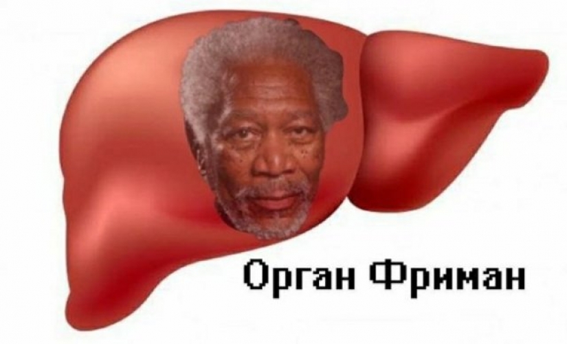 Marmeladze and Karawatha: Twitter Russian stars turn into food Marmeladze and Karawatha: Twitter Russian stars turn into food