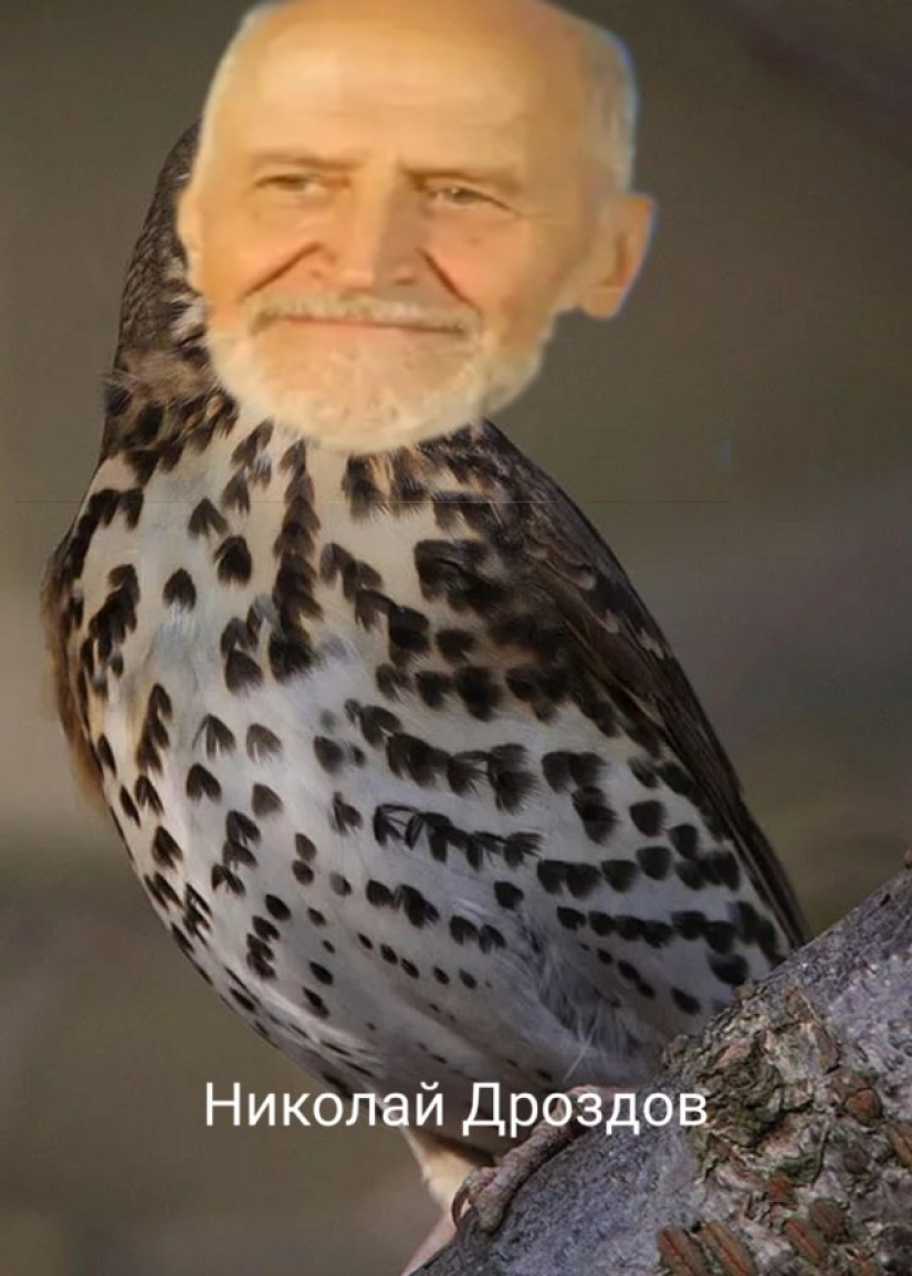 Marmeladze y Karawatha: Twitter ruso estrellas se convierten en alimentos