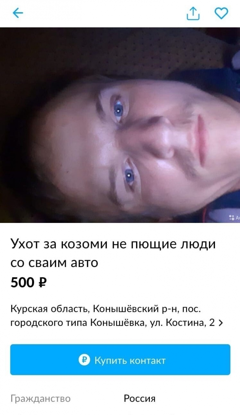 Mejor curriculum vitae avito, o por qué algunas personas parece que no puede encontrar un trabajo