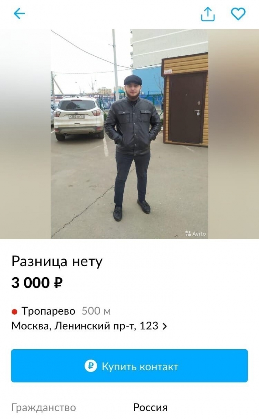 Mejor curriculum vitae avito, o por qué algunas personas parece que no puede encontrar un trabajo