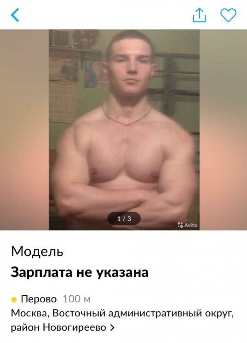 Mejor curriculum vitae avito, o por qué algunas personas parece que no puede encontrar un trabajo