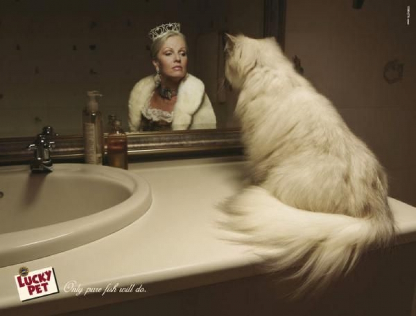 Meow! 15 examples of funny and cute cat advertising Meow! 15 examples of funny and cute cat advertising