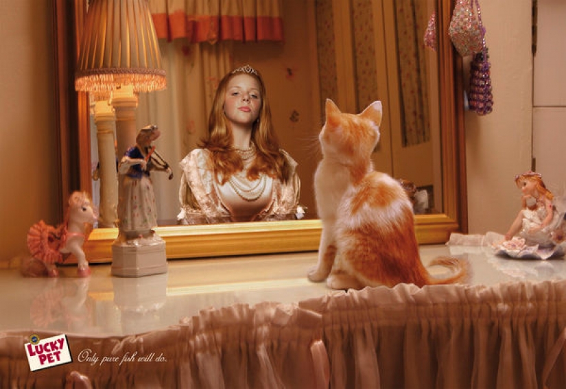 Meow! 15 examples of funny and cute cat advertising Meow! 15 examples of funny and cute cat advertising