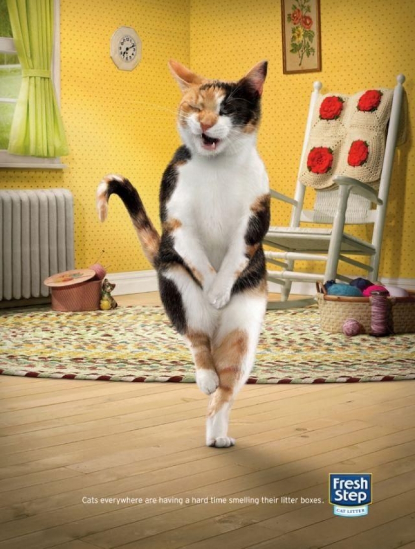Meow! 15 examples of funny and cute cat advertising Meow! 15 examples of funny and cute cat advertising