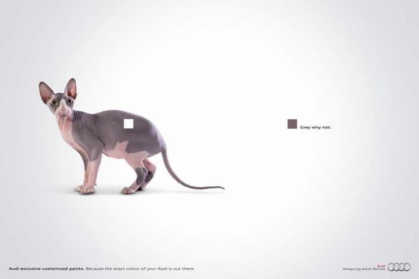 Meow! 15 examples of funny and cute cat advertising Meow! 15 examples of funny and cute cat advertising