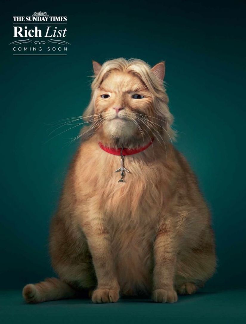 Meow! 15 examples of funny and cute cat advertising Meow! 15 examples of funny and cute cat advertising