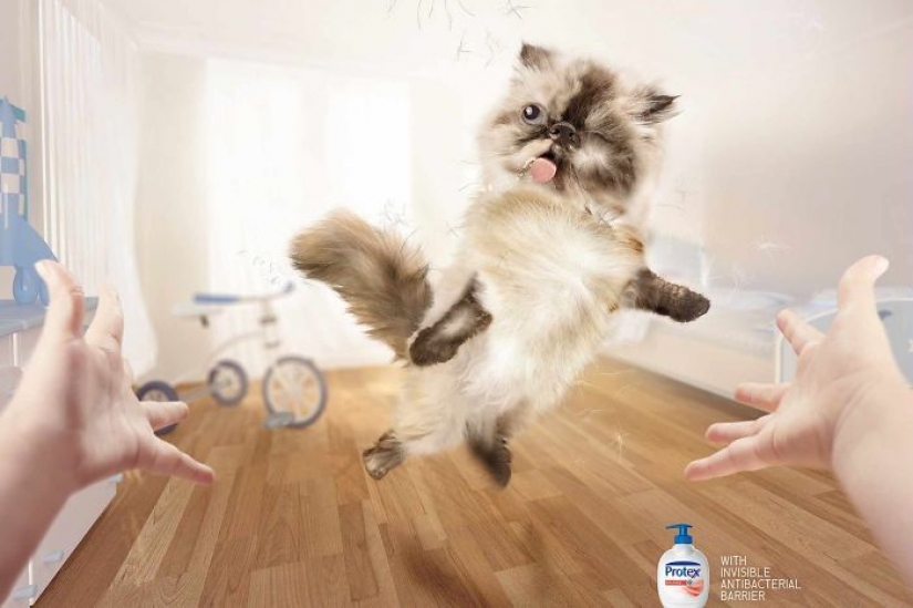 Meow! 15 examples of funny and cute cat advertising Meow! 15 examples of funny and cute cat advertising