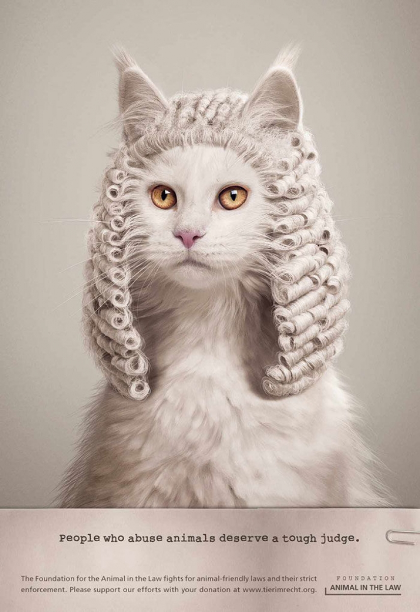 Meow! 15 examples of funny and cute cat advertising Meow! 15 examples of funny and cute cat advertising