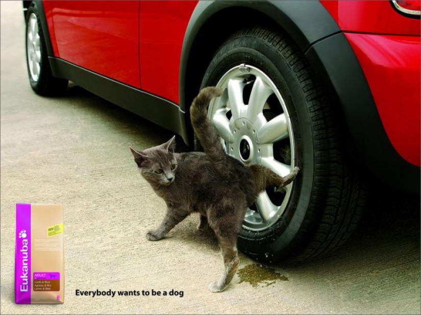 Meow! 15 examples of funny and cute cat advertising Meow! 15 examples of funny and cute cat advertising