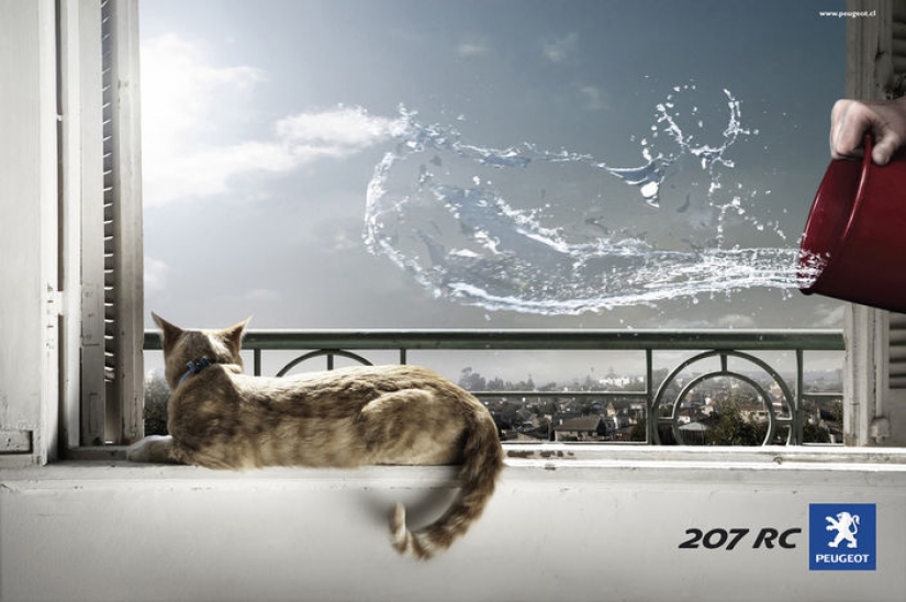 Meow! 15 examples of funny and cute cat advertising Meow! 15 examples of funny and cute cat advertising