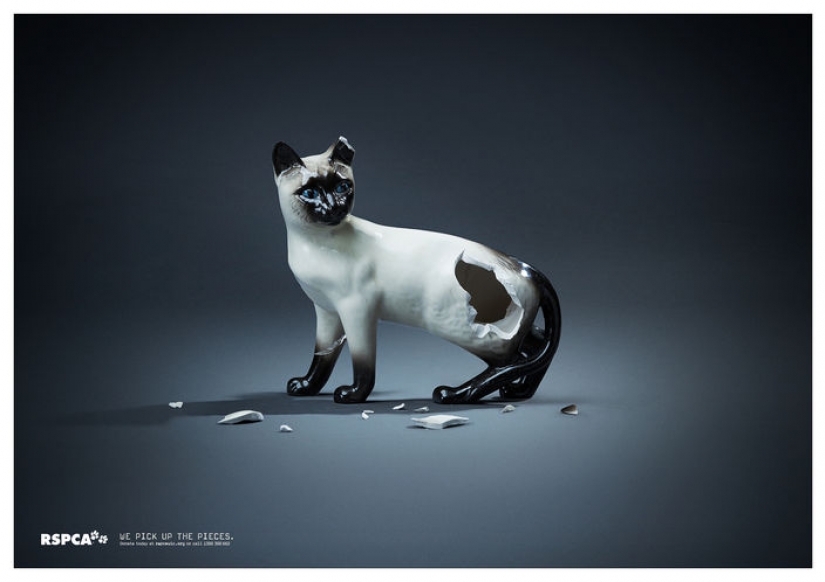 Meow! 15 examples of funny and cute cat advertising Meow! 15 examples of funny and cute cat advertising