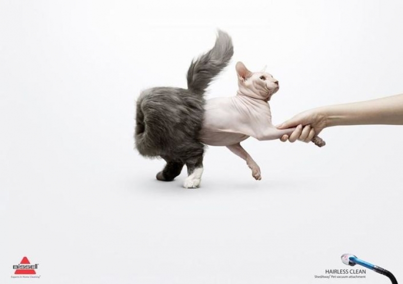 Meow! 15 examples of funny and cute cat advertising Meow! 15 examples of funny and cute cat advertising