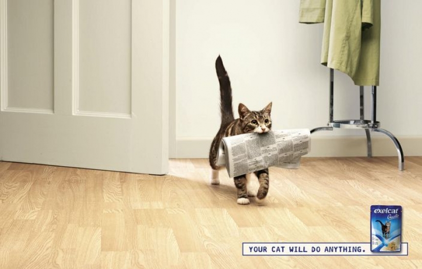 Meow! 15 examples of funny and cute cat advertising Meow! 15 examples of funny and cute cat advertising