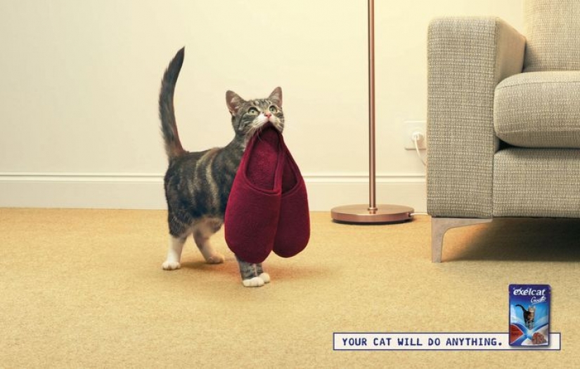 Meow! 15 examples of funny and cute cat advertising Meow! 15 examples of funny and cute cat advertising