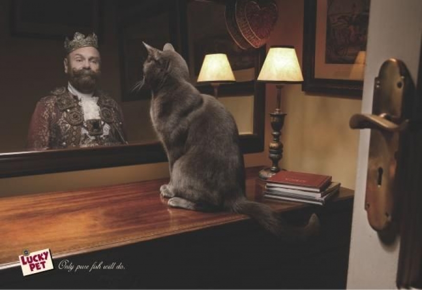 Meow! 15 examples of funny and cute cat advertising Meow! 15 examples of funny and cute cat advertising