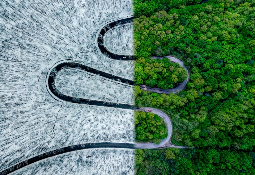 Miracles from heaven: the 12 best photos from the contest drone pictures