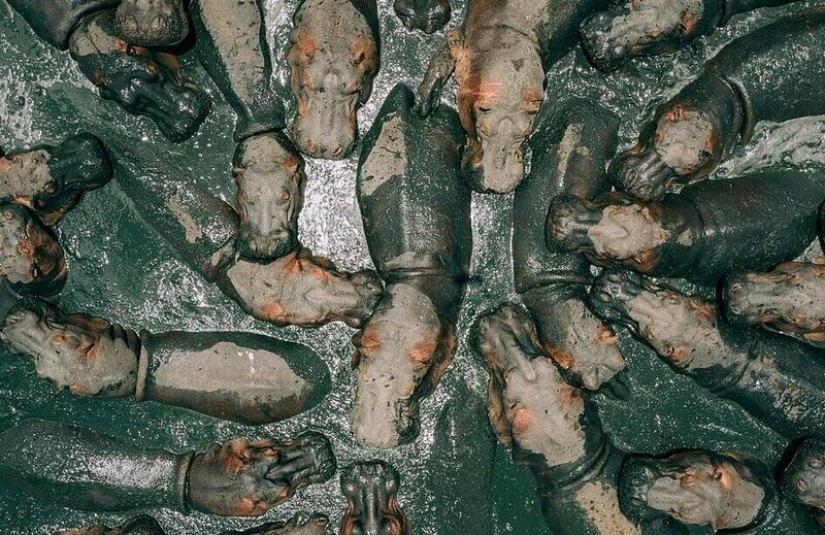 Miracles from heaven: the 12 best photos from the contest drone pictures