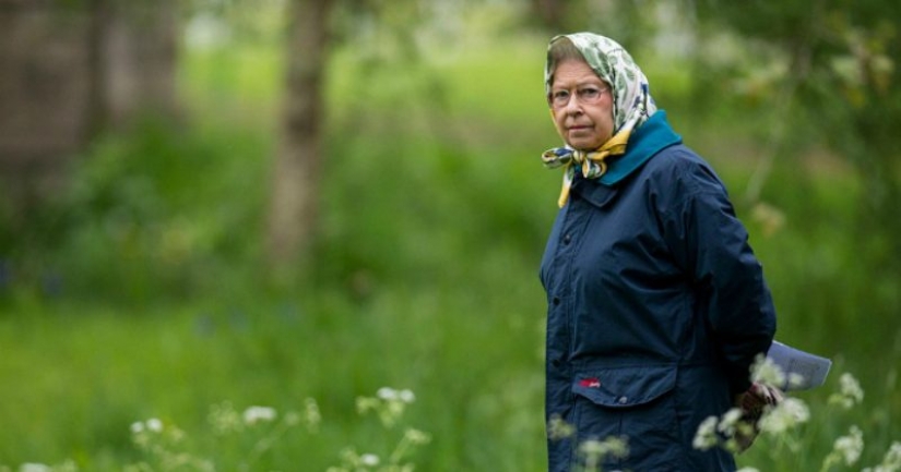 Moscow apartments Elizabeth II: what do we know about Royal real estate Moscow apartments Elizabeth II: what do we know about Royal real estate