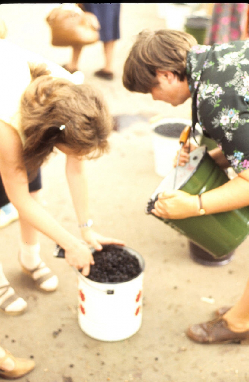 Moscow — Siberia — Japan in 1980 Moscow — Siberia — Japan in 1980