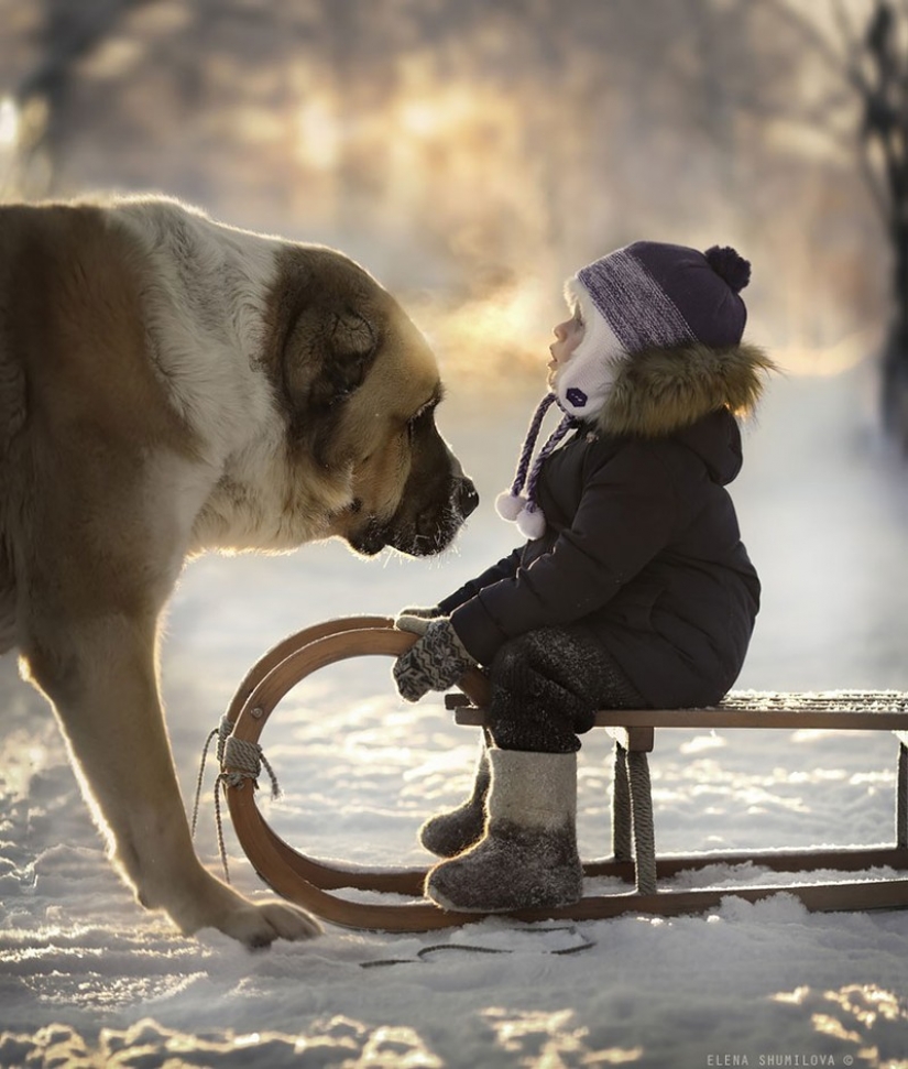 Mujer rusa crea impresionantes fotografías de sus hijos con los animales en el pueblo Mujer rusa crea impresionantes fotografías de sus hijos con los animales en el pueblo