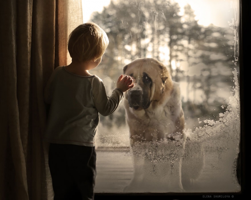 Mujer rusa crea impresionantes fotografías de sus hijos con los animales en el pueblo Mujer rusa crea impresionantes fotografías de sus hijos con los animales en el pueblo
