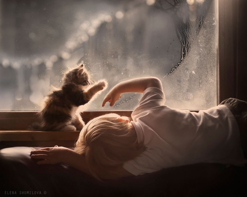 Mujer rusa crea impresionantes fotografías de sus hijos con los animales en el pueblo Mujer rusa crea impresionantes fotografías de sus hijos con los animales en el pueblo